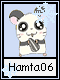 Hamta 6