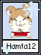 Hamta 12