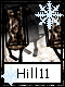 Hill 11