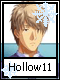 Hollow 11