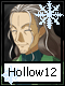 Hollow 12