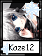 Kaze 12