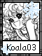 Koala 3