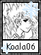 Koala 6