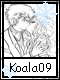 Koala 9