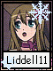 Liddell 11