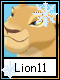 Lion 11