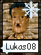 Lukas 8