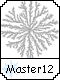 Master 12