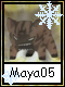 Maya 5