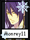Monrey 11