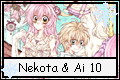 N+A 10