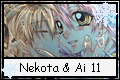 N+A 11