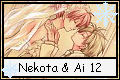 N+A 12