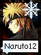 Naruto 12