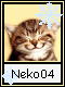 Neko 4