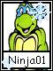 Ninja 1