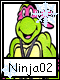 Ninja 2