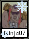 Ninja 7