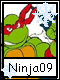 Ninja 9