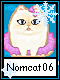 Nomcat 6