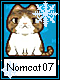 Nomcat 7