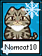 Nomcat 10