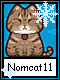 Nomcat 11