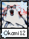 Okami 12