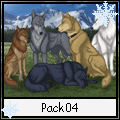 Pack 4