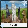 Pack 5