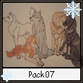 Pack 7