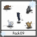 Pack 9