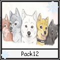 Pack 12