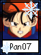 Pan 7