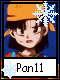 Pan 11