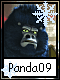 Panda 9