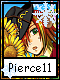 Pierce 11