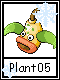 Plant 5