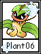 Plant 6
