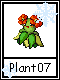 Plant 7