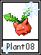 Plant 8