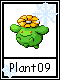 Plant 9