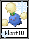 Plant 10