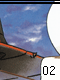 Porco 2