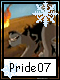 Pride 7
