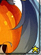 Pumpkin 12