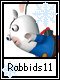 Rabbids 11