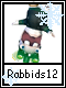 Rabbids 12