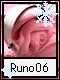 Runo 6